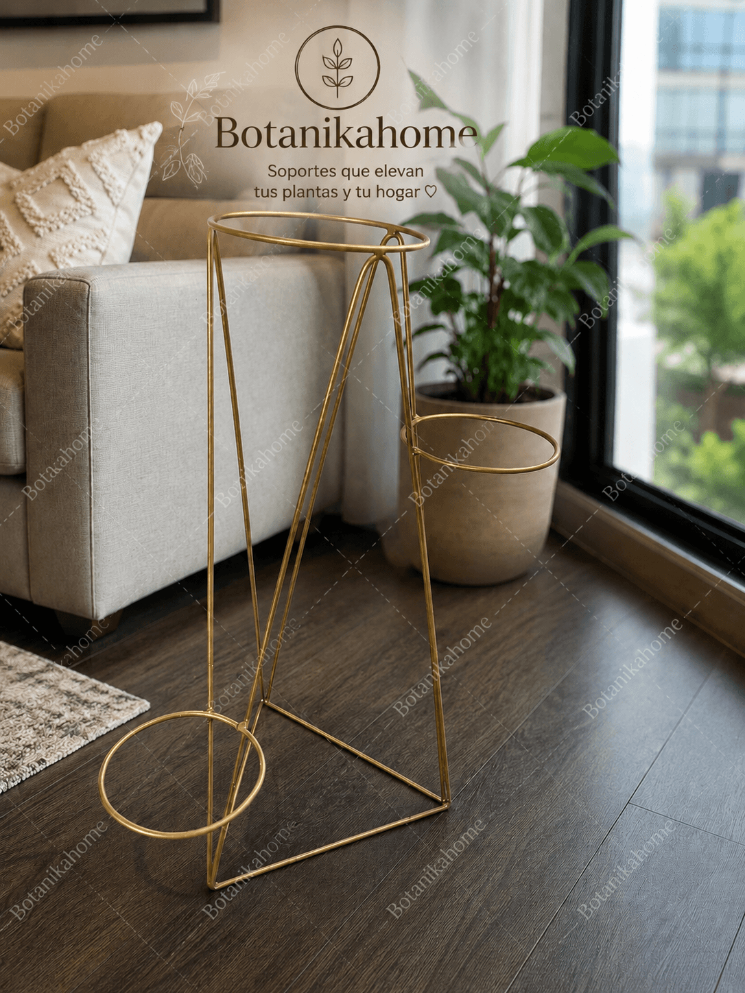 Soporte, para transplantas